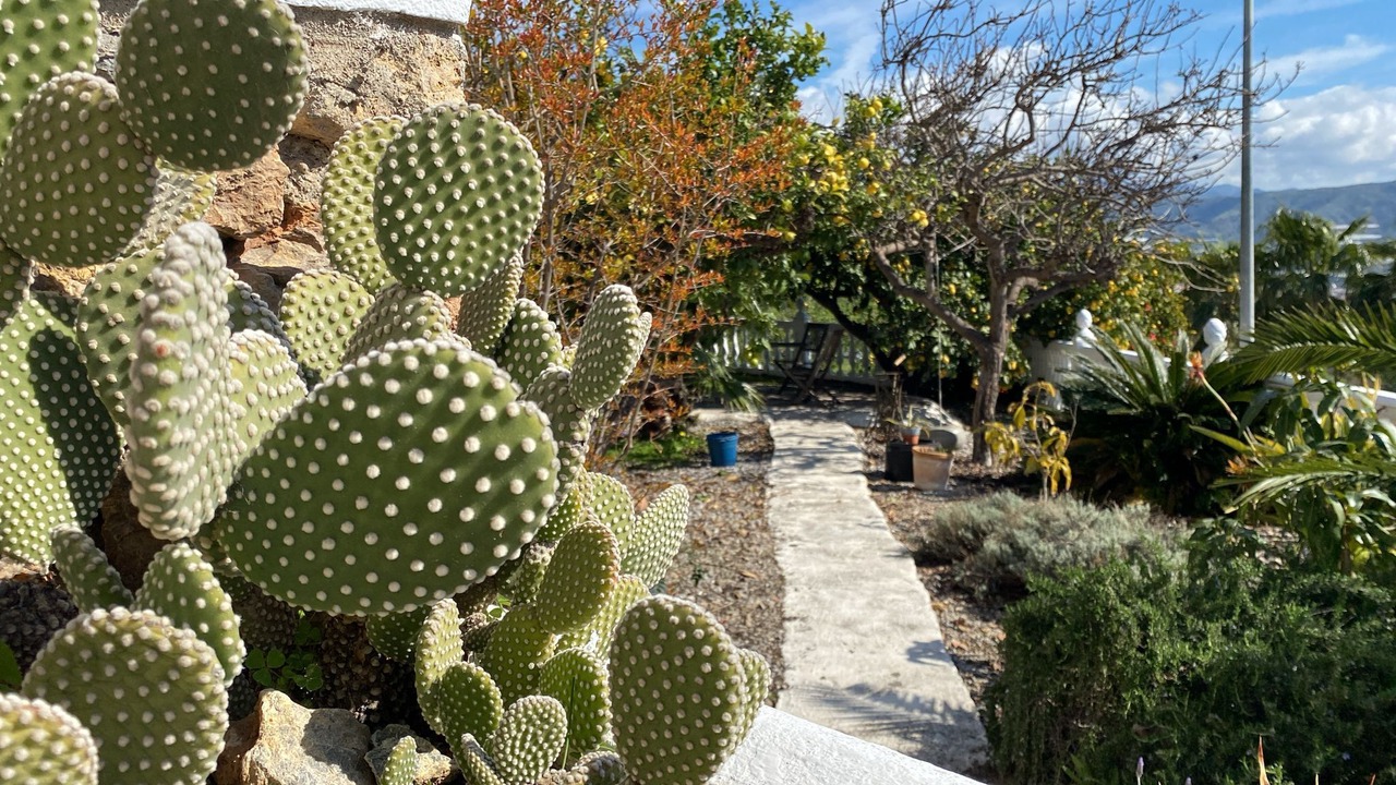 Photo of Outdoor in Gualchos
