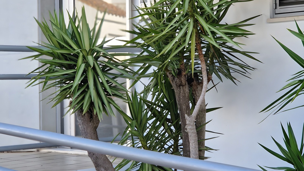 Photo of Outdoor in Sanlucar de Barrameda