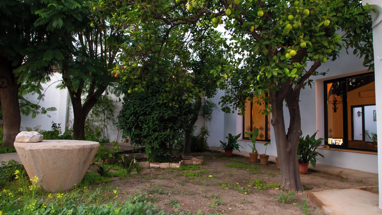 Photo of Outdoor in La Palma del Condado