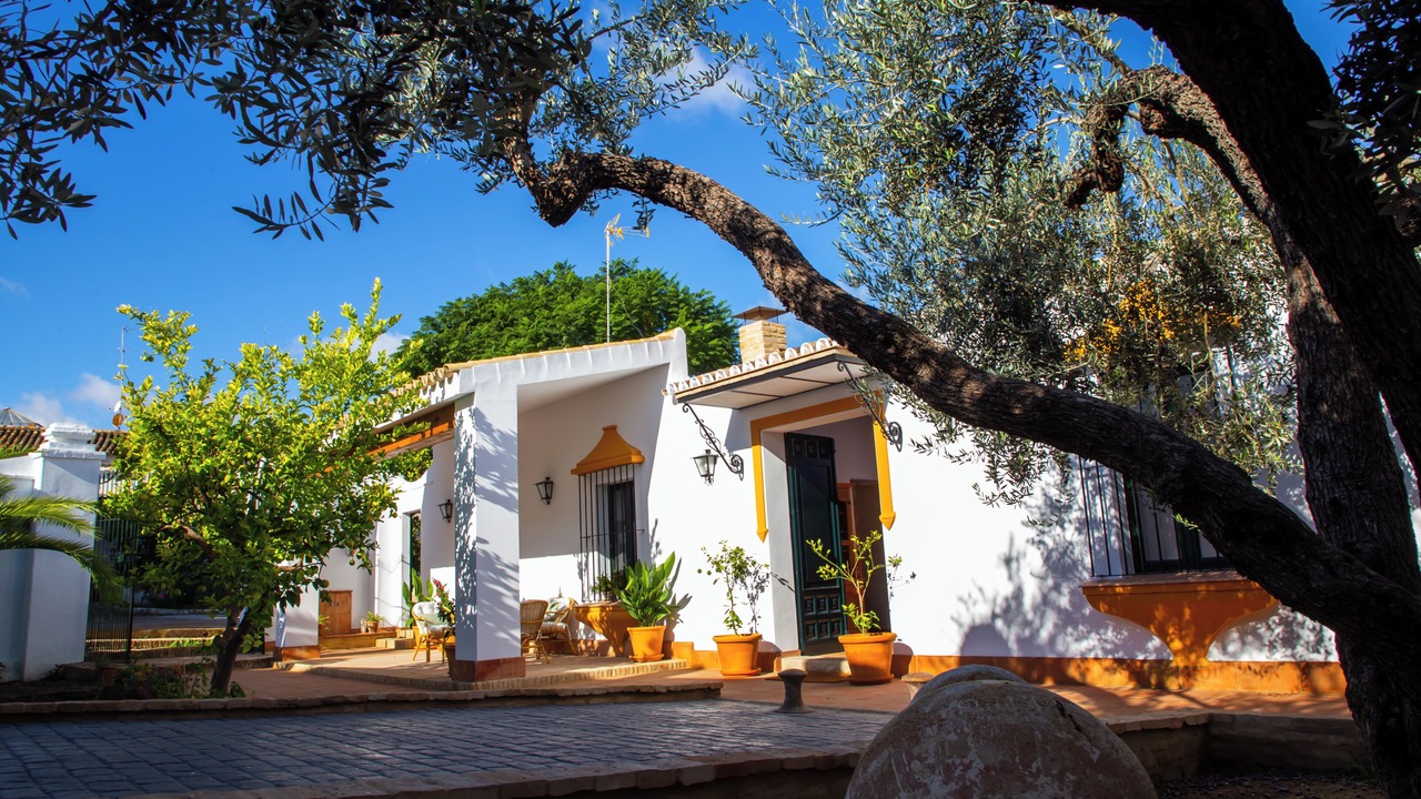 Photo of Outdoor in La Palma del Condado