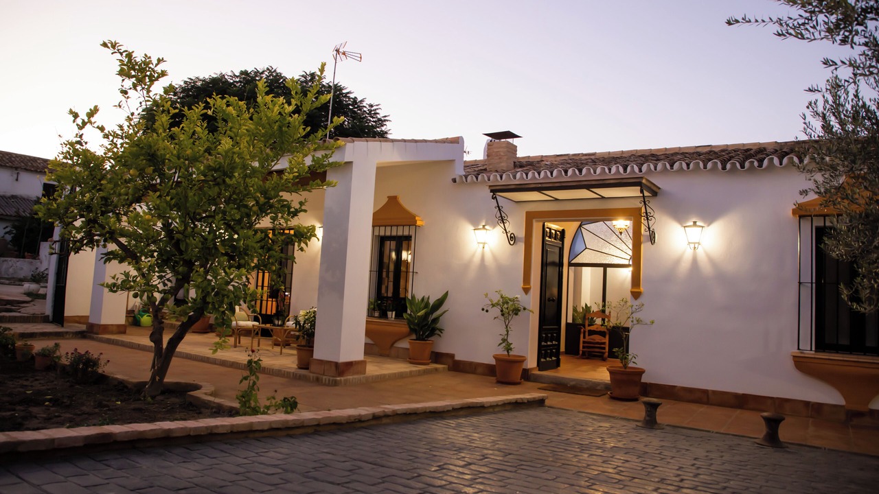 Photo of Outdoor in La Palma del Condado