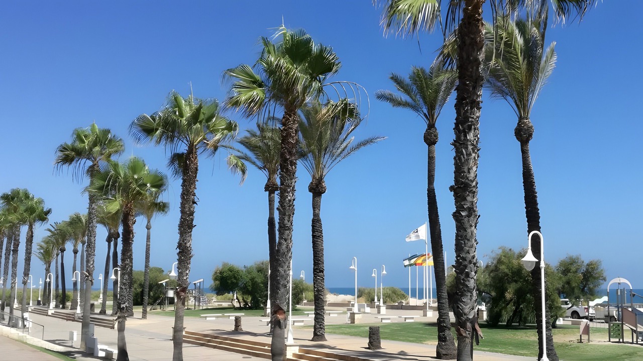 Photo of Others in Islantilla