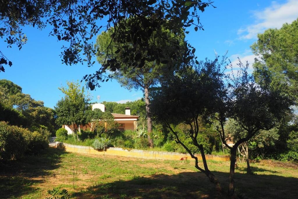Photo of Outdoor in Santa Maria de Trassierra