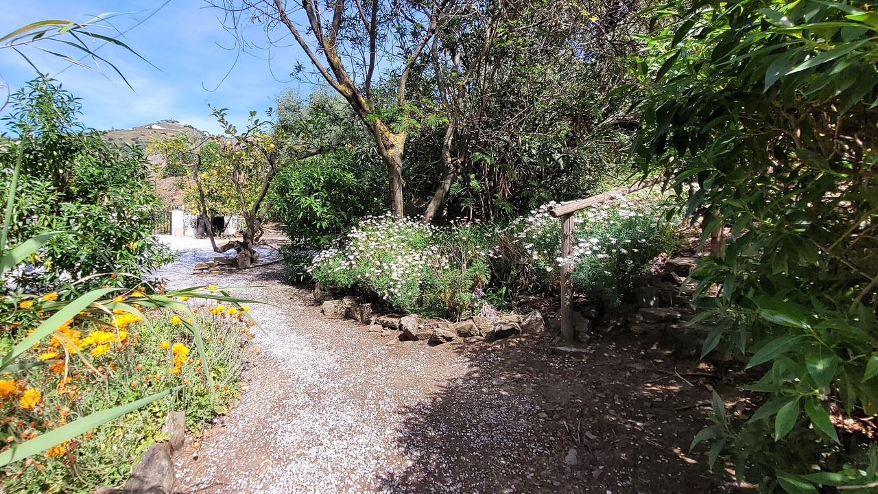 Photo of Outdoor in Torrox