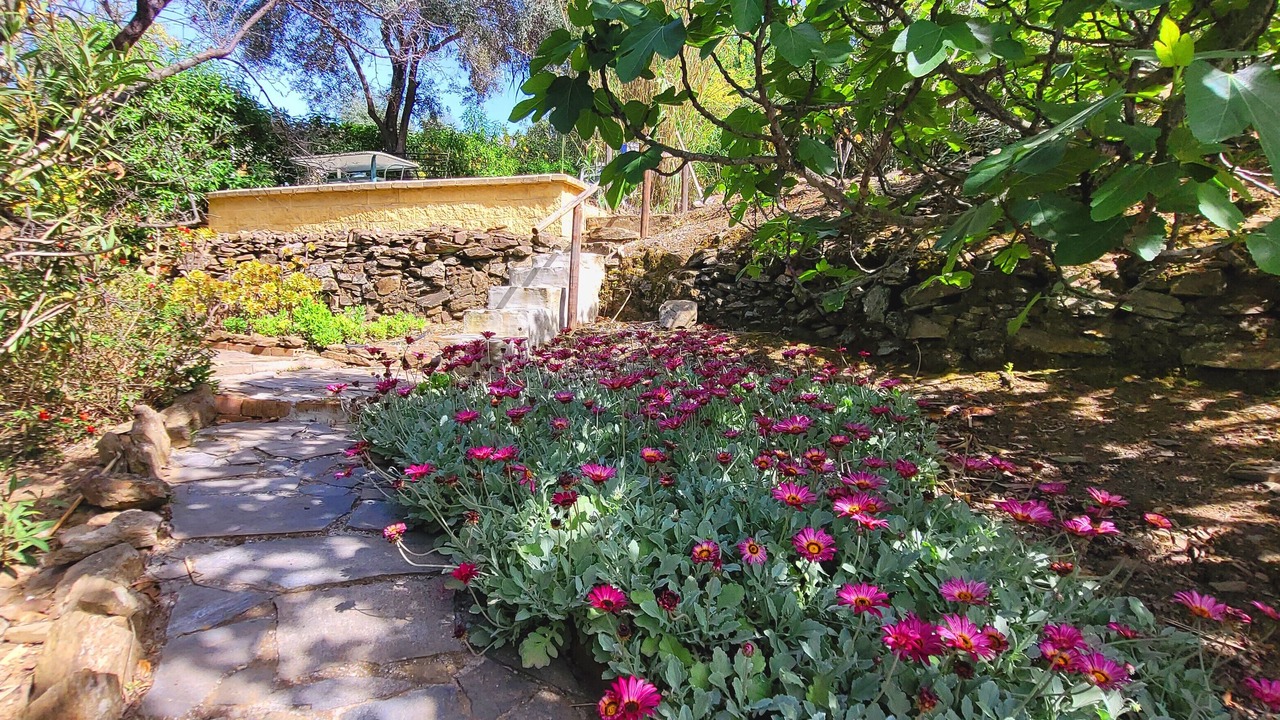 Photo of Outdoor in Torrox