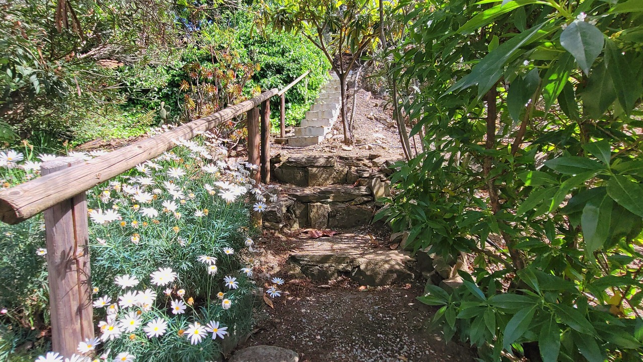 Photo of Outdoor in Torrox