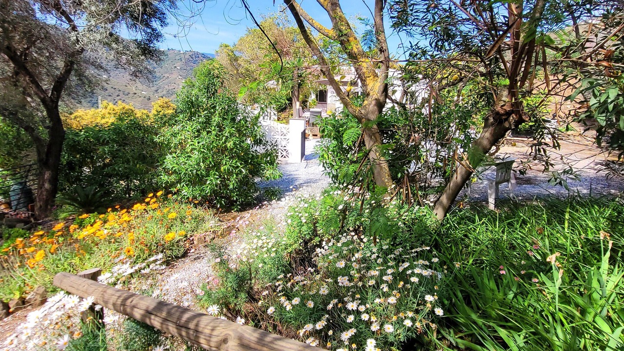 Photo of Outdoor in Torrox