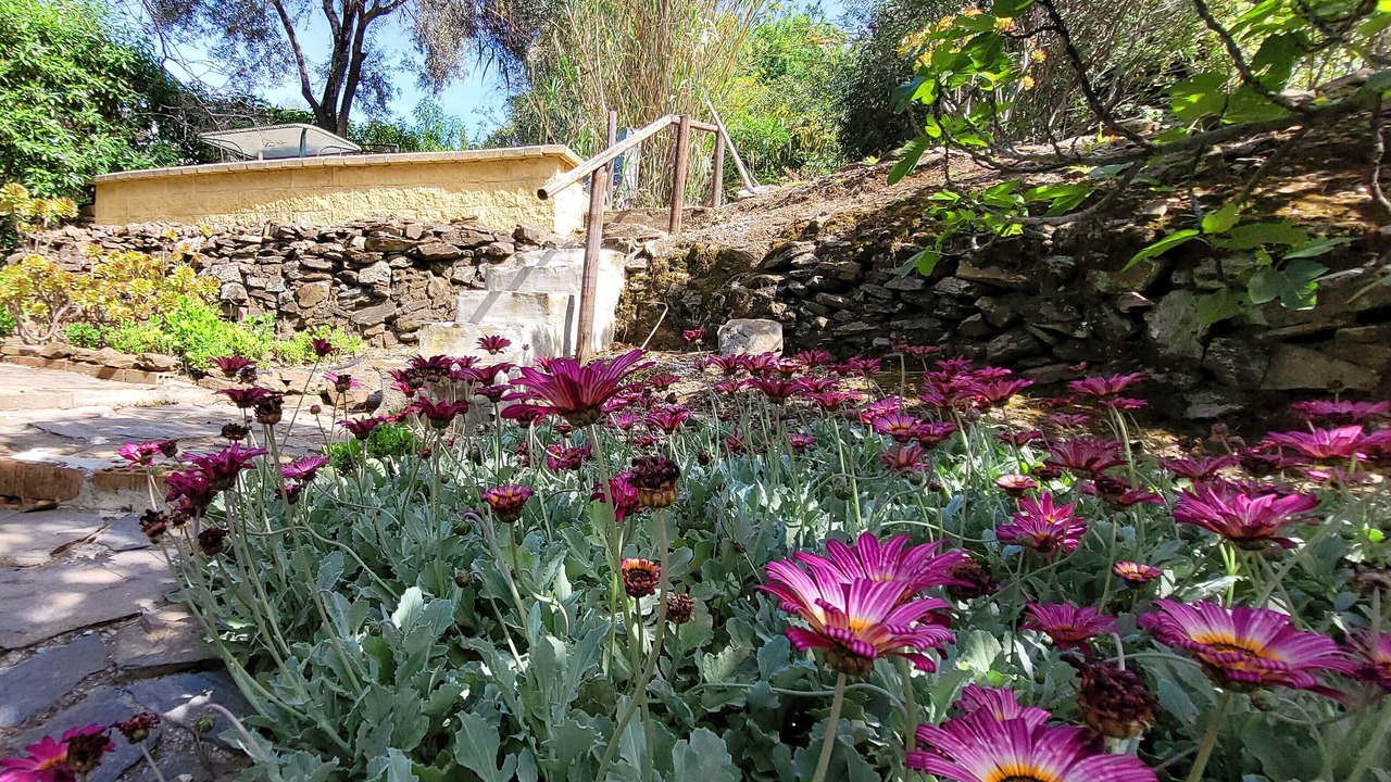 Photo of Outdoor in Torrox