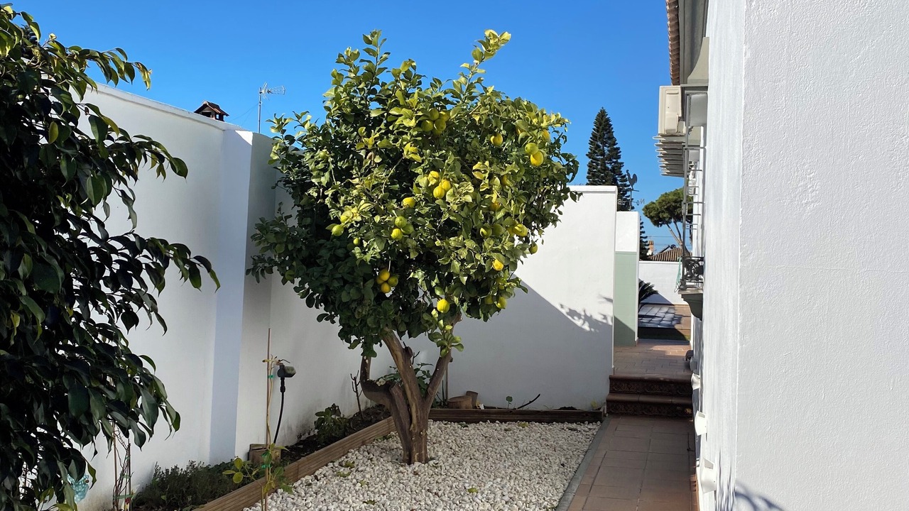 Photo of Outdoor in Los Gallos-Cerromolino