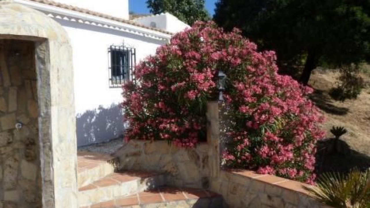 Photo of Others in Competa