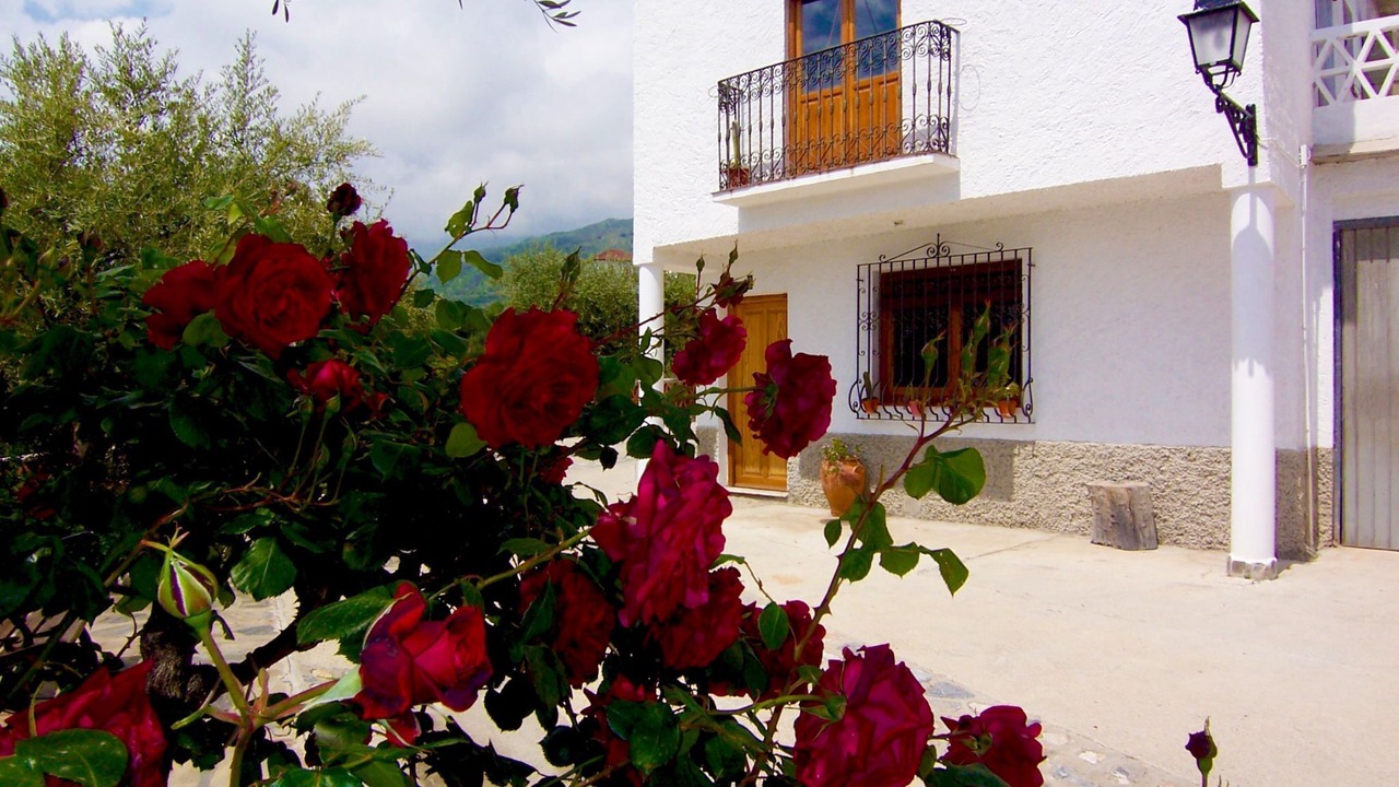 Photo of Outdoor in Nechite