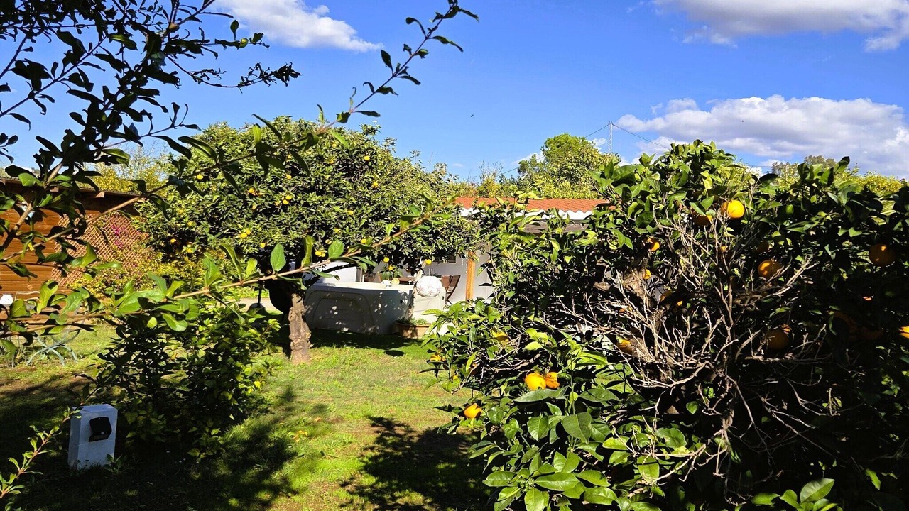 Photo of Outdoor in Cartama