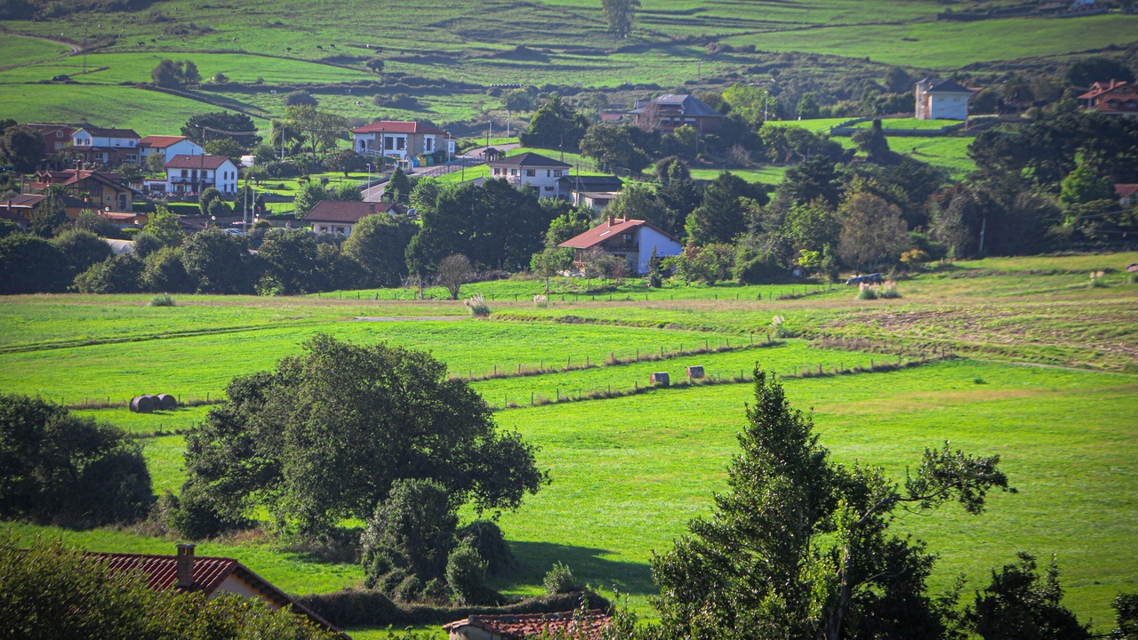Photo of Others in Suances