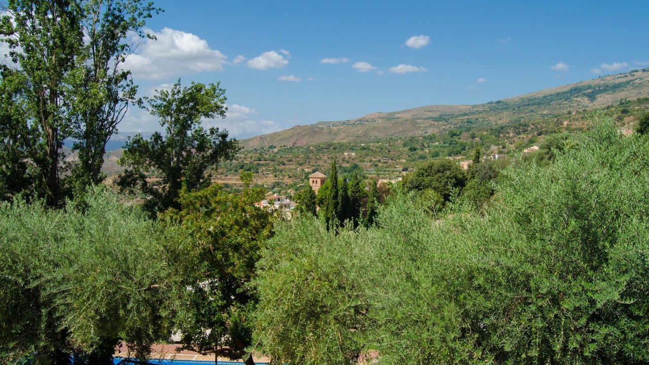 Photo of Others in Nechite