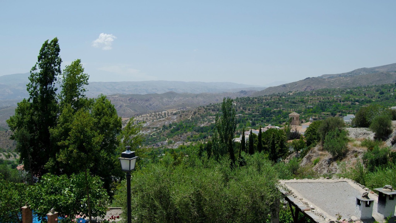 Photo of Others in Nechite