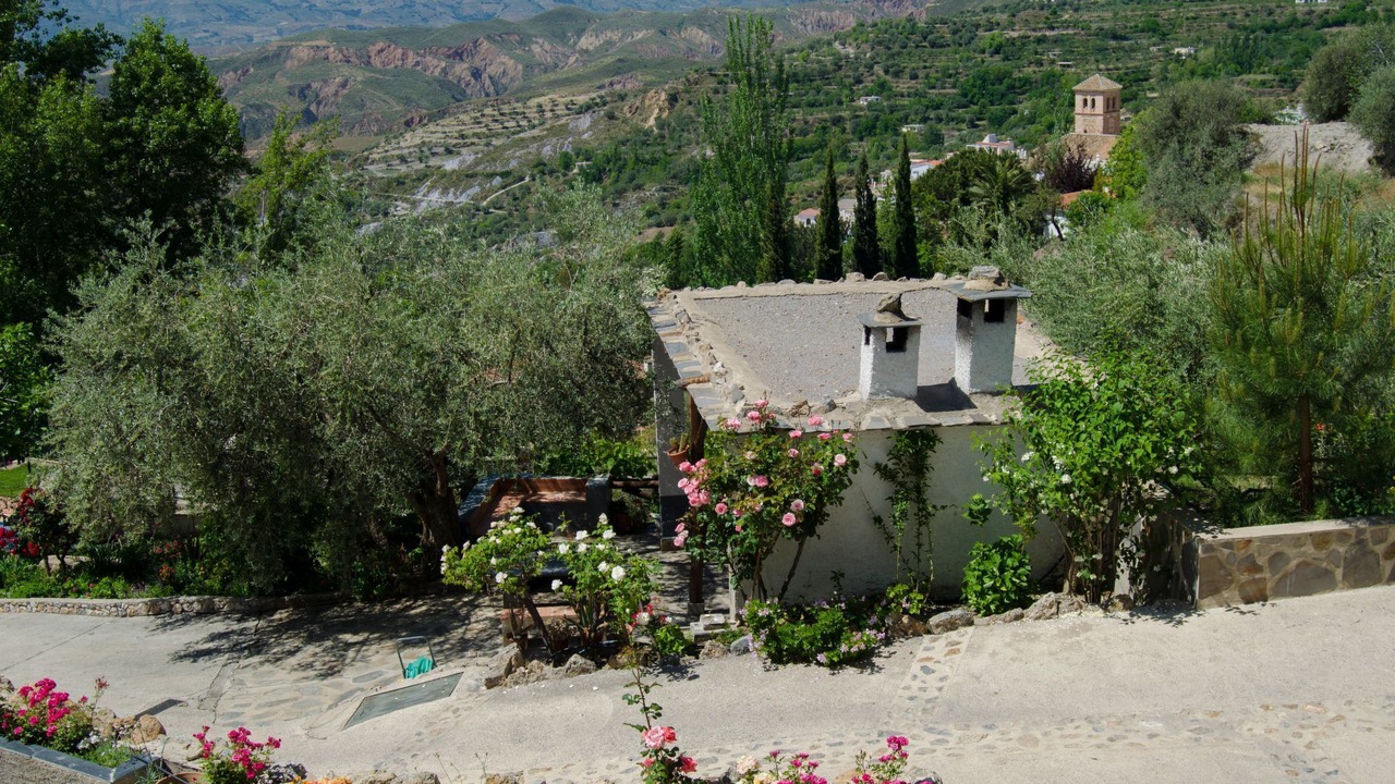 Photo of Others in Nechite