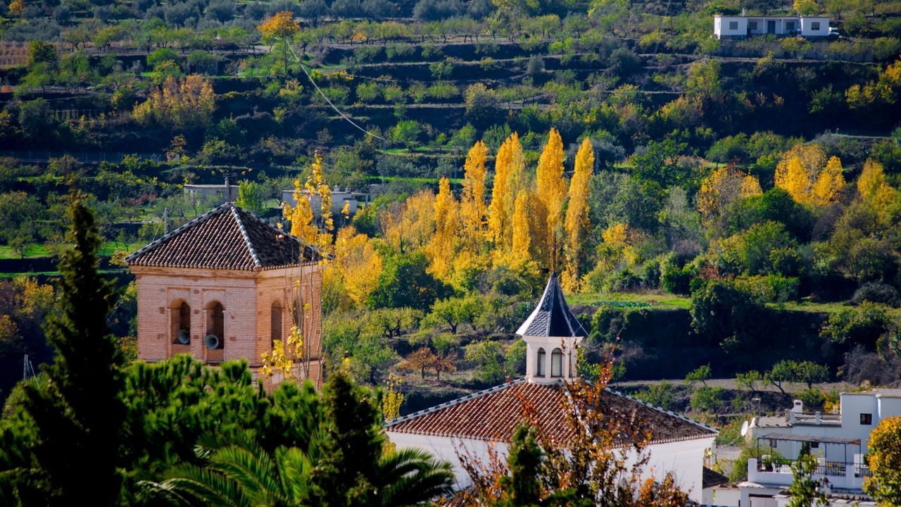 Photo of Others in Nechite