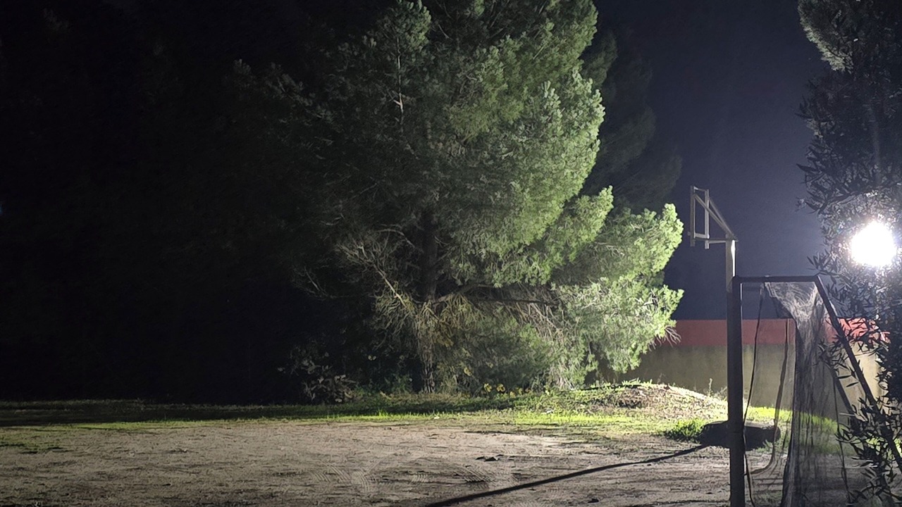 Photo of Outdoor in Niebla