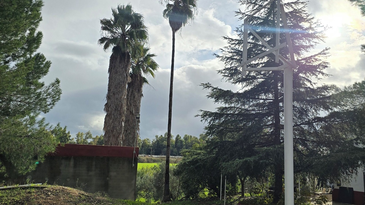 Photo of Outdoor in Niebla