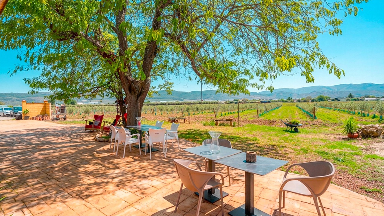Photo of Outdoor in Antequera
