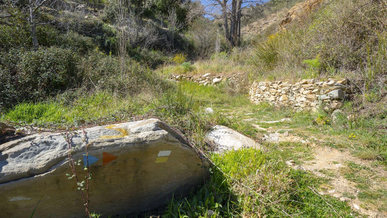 Photo of Others in Laroya