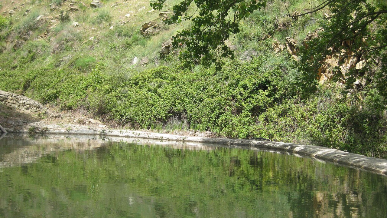 Photo of Others in Laroya