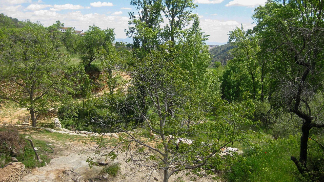 Photo of Others in Laroya