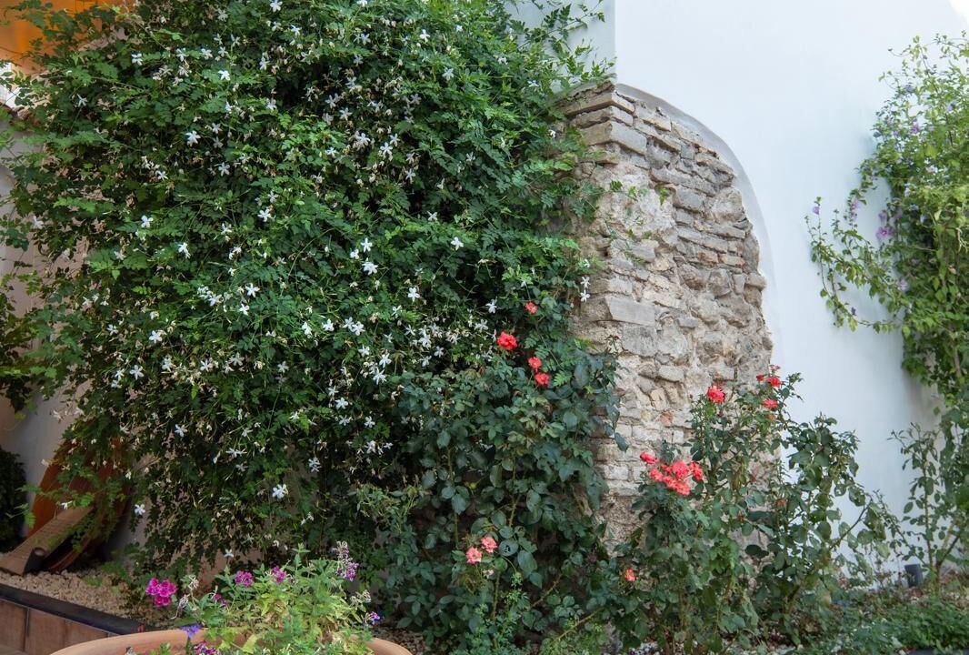 Photo of Outdoor in Gerena