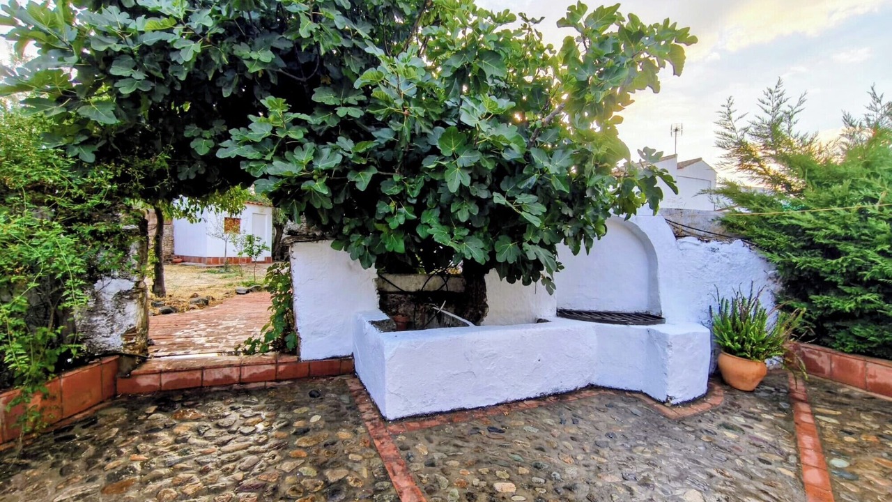 Photo of Outdoor in Campofrio