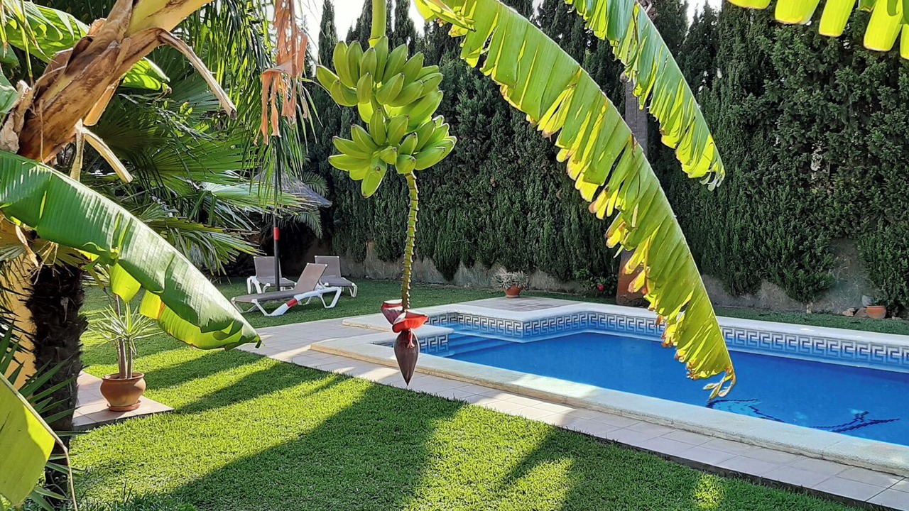 Photo of Outdoor in Campano