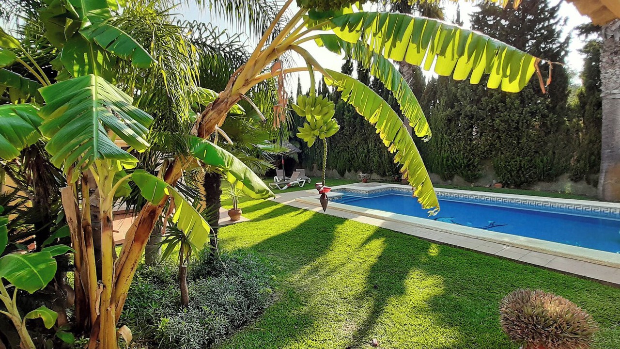 Photo of Outdoor in Campano