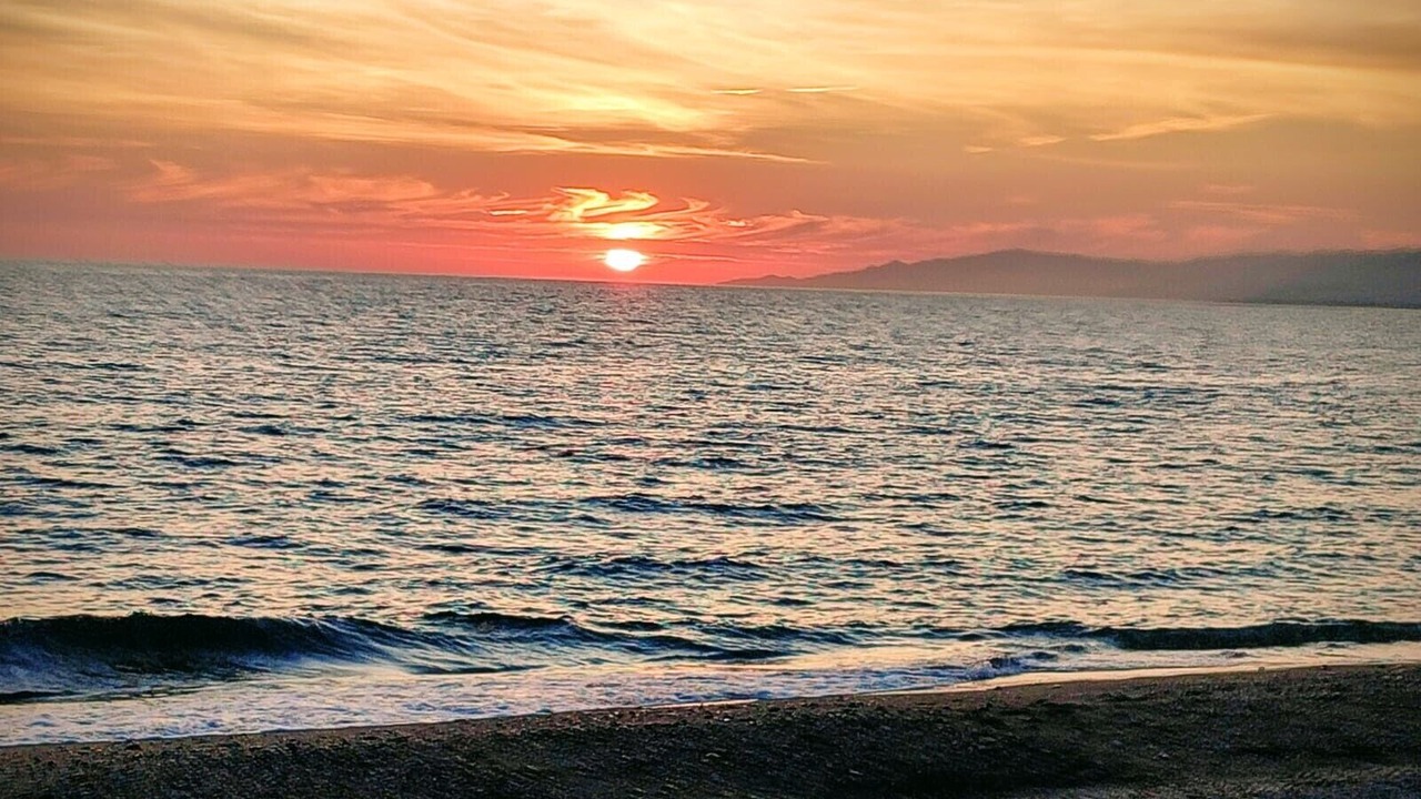 Photo of Others in Almerimar