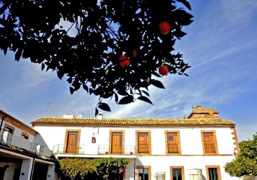 Photo of Others in Montoro