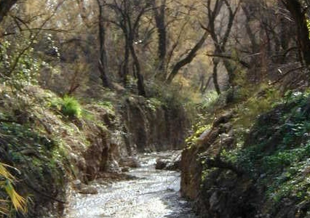 Photo of Others in Mancha Real