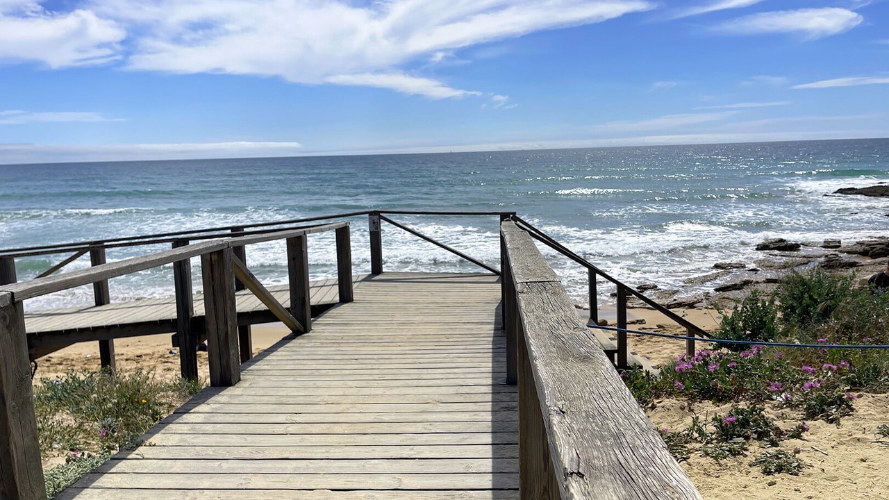 Photo of Others in El Palmar
