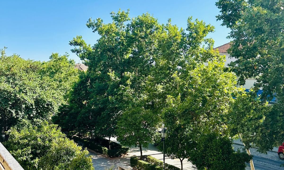 Photo of Outdoor in Centro - Sagrario