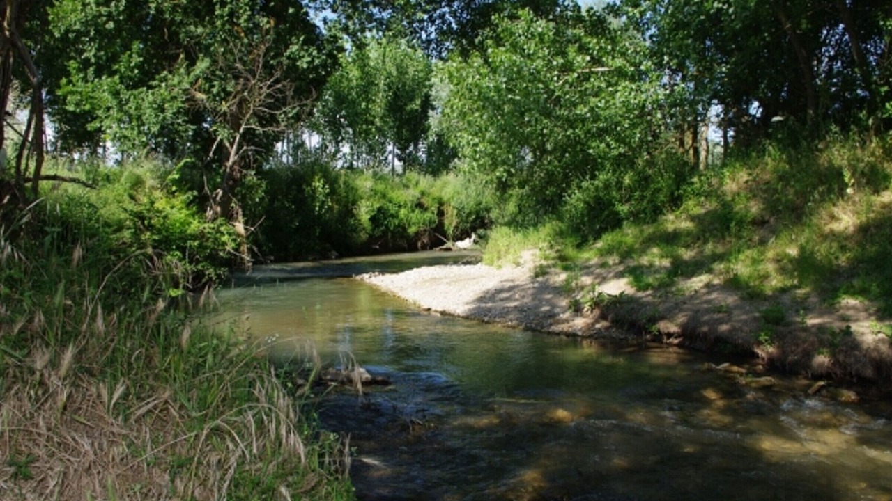 Photo of Others in Villanueva del Rosario