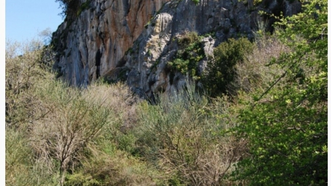 Photo of Others in Villanueva del Rosario
