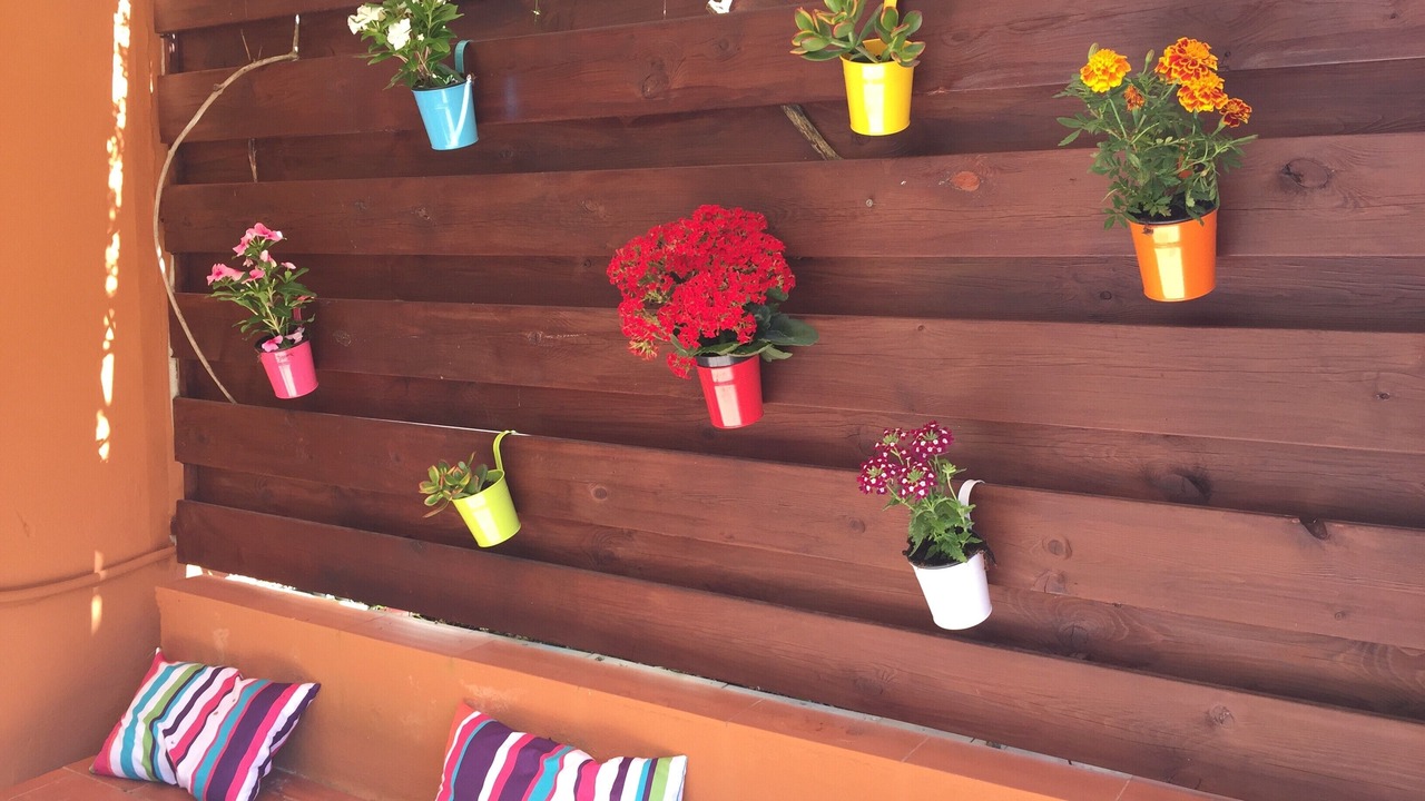 Photo of Outdoor in Islantilla