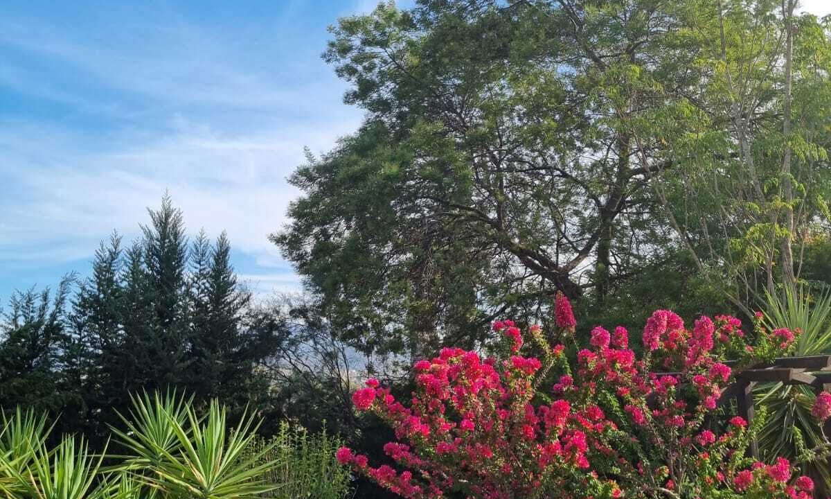 Photo of Outdoor in Coin