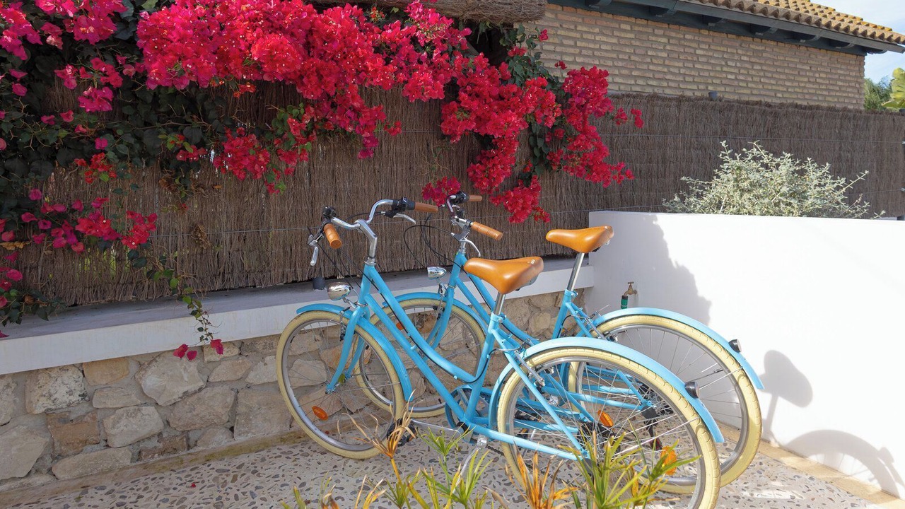 Photo of Outdoor in Costa Noroeste
