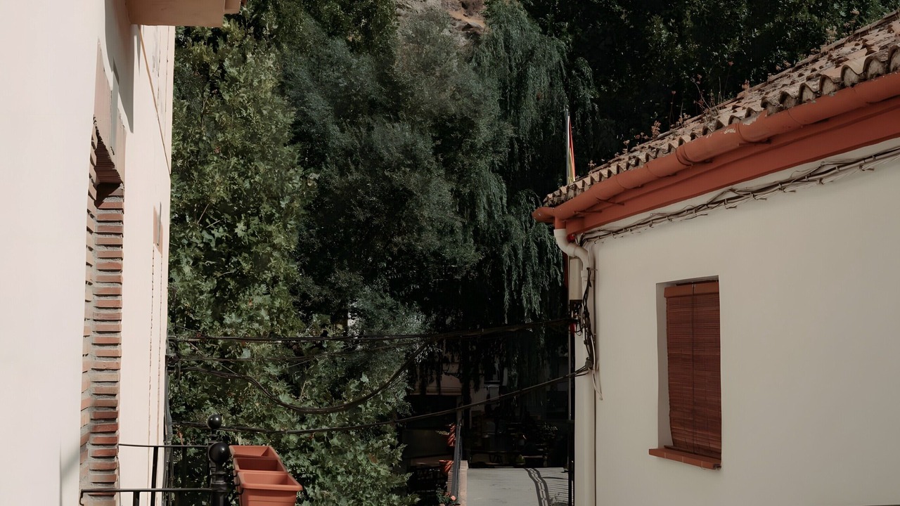 Photo of Others in Pinos Genil