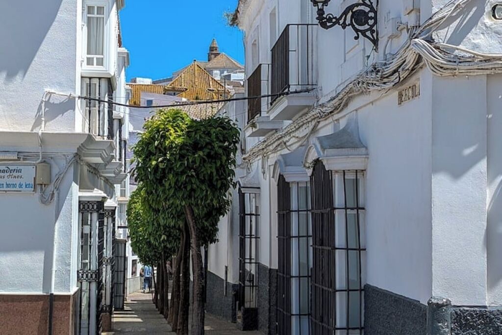 Photo of Others in Medina-Sidonia