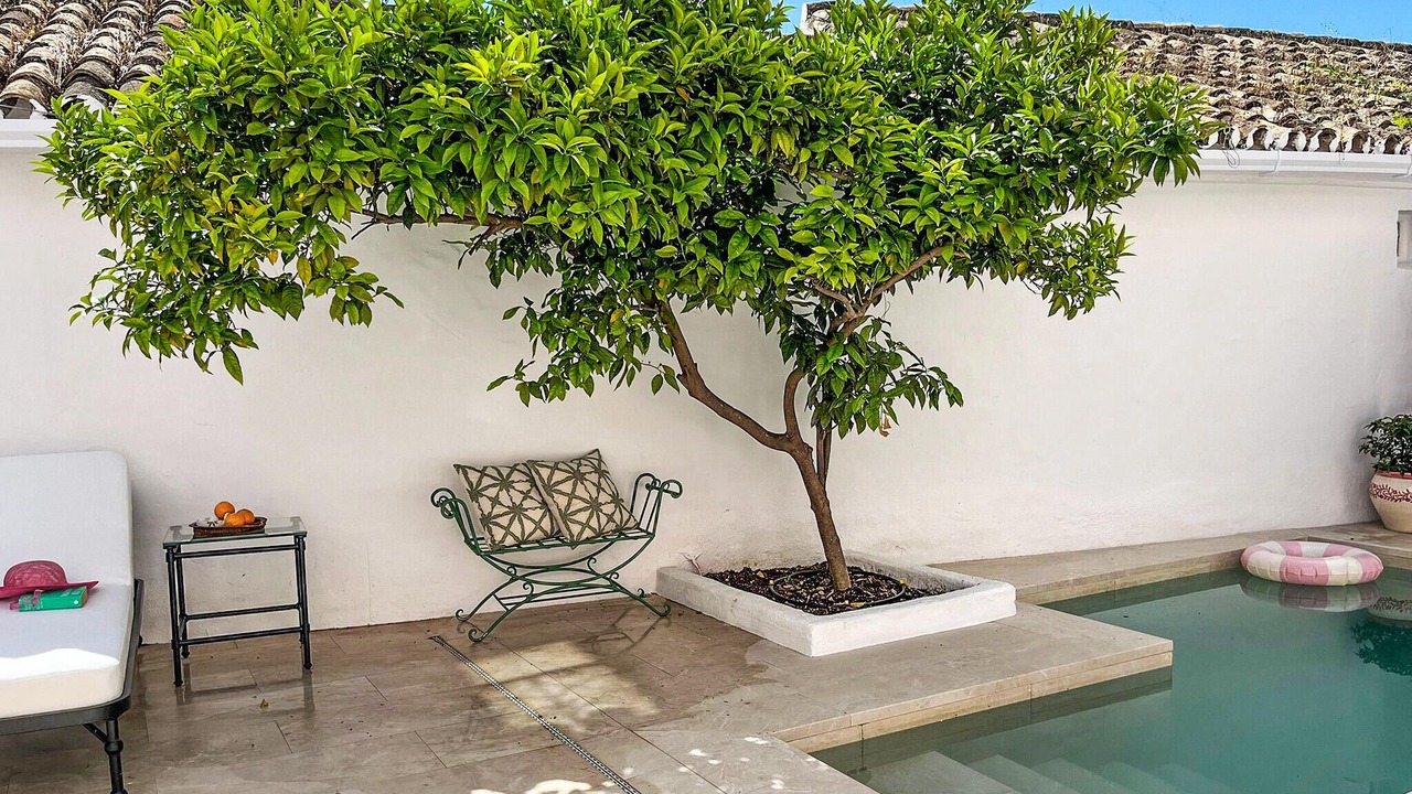 Photo of Outdoor in Benahavis