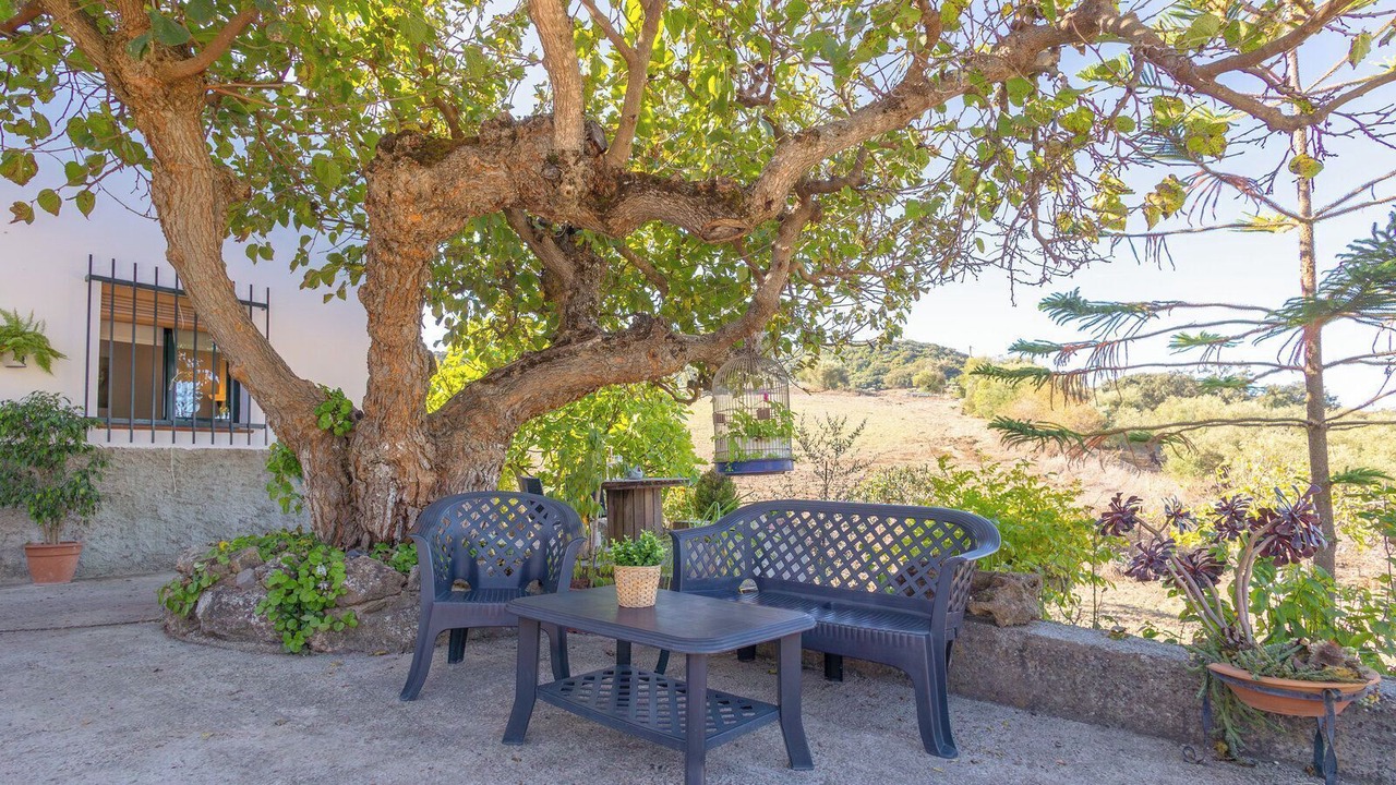 Photo of Patio Balcony in Prado del Rey