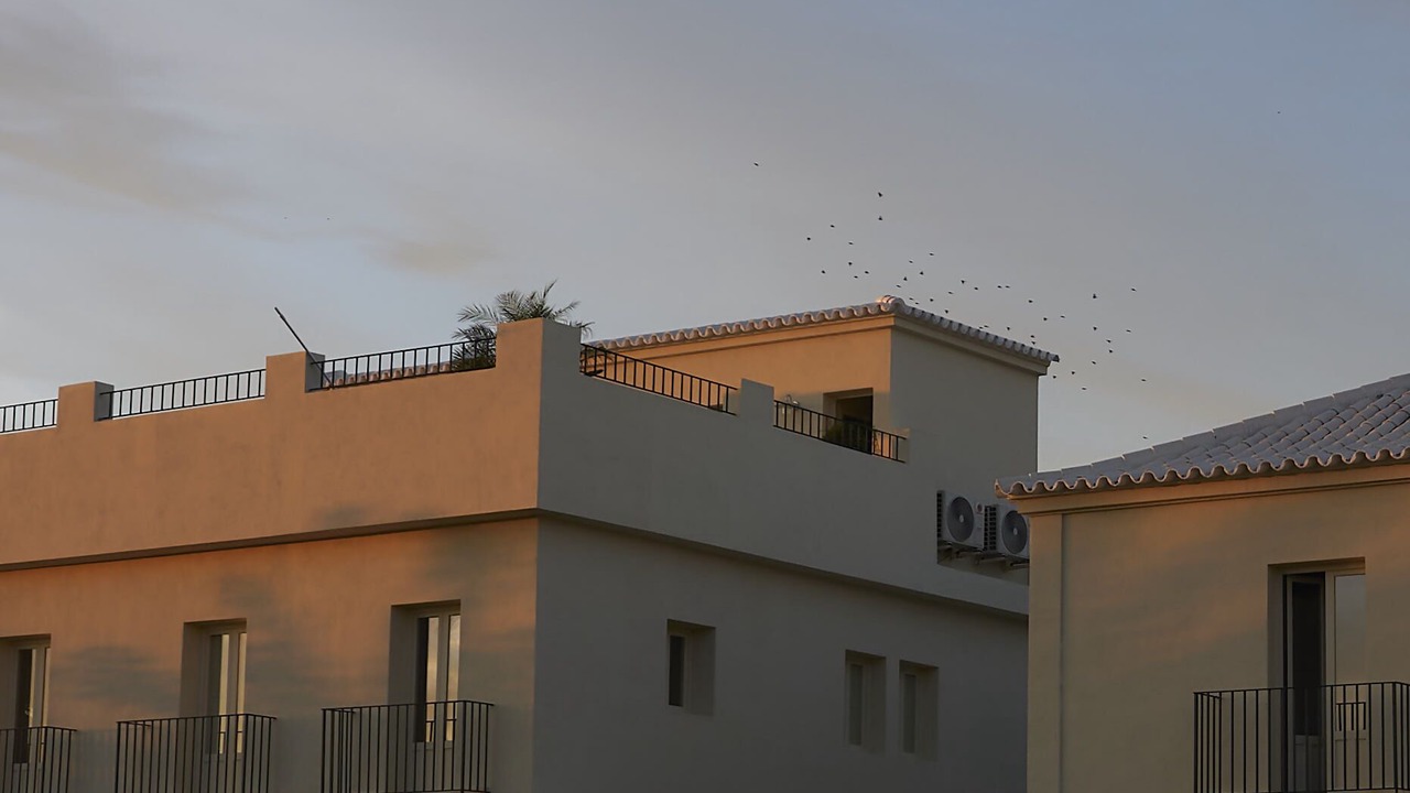 Photo of Outdoor in El Rocio