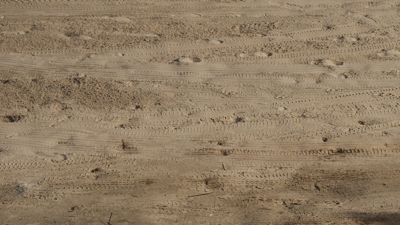 Photo of Others in El Rocio