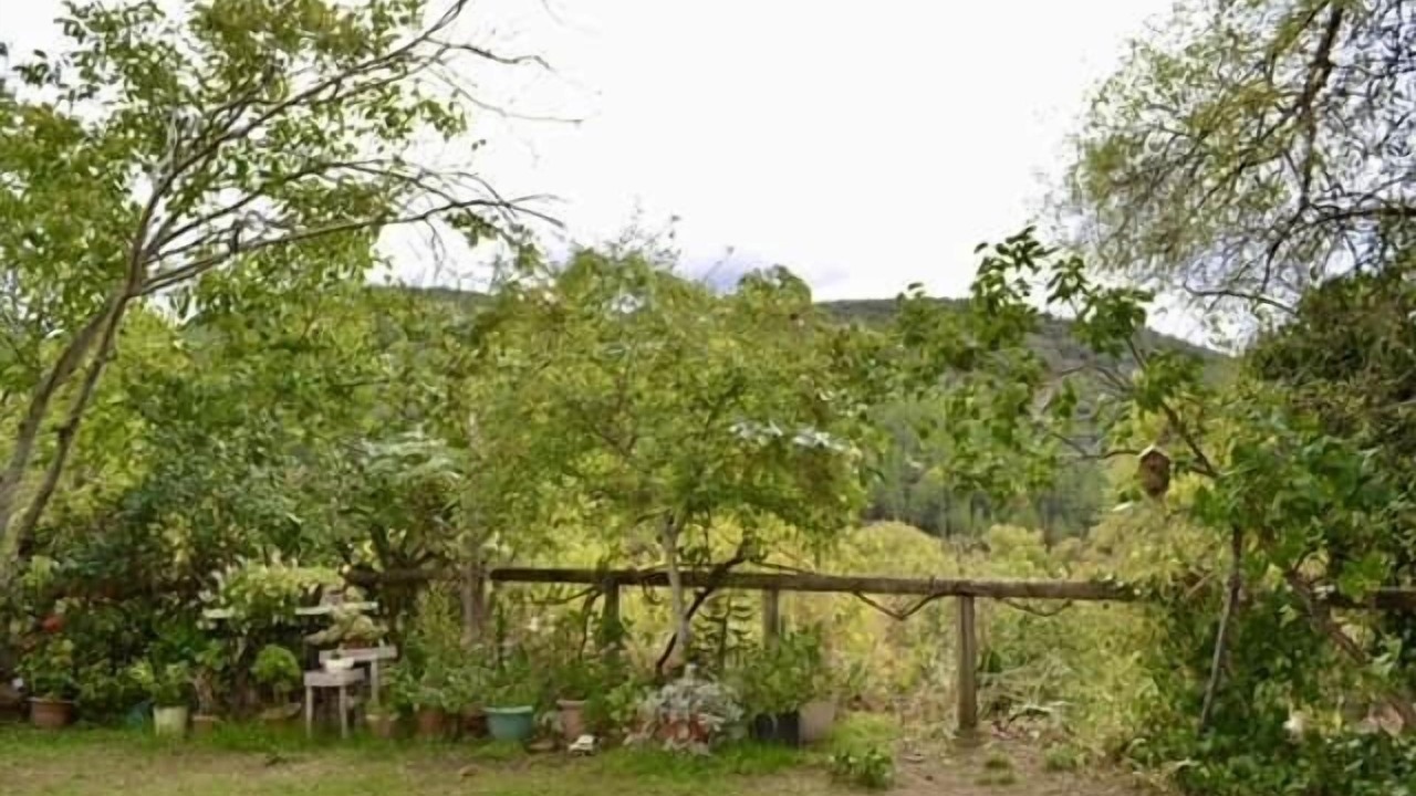 Photo of Outdoor in Linares de la Sierra