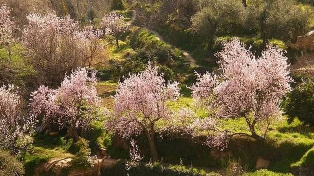 Photo of Others in Laroya