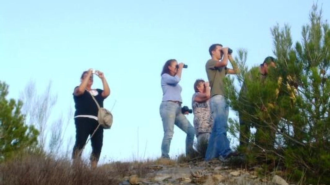 Photo of Others in Laroya